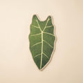 Leaf Sisal Cat Scratch Mat, taro leaf shape, studio shot