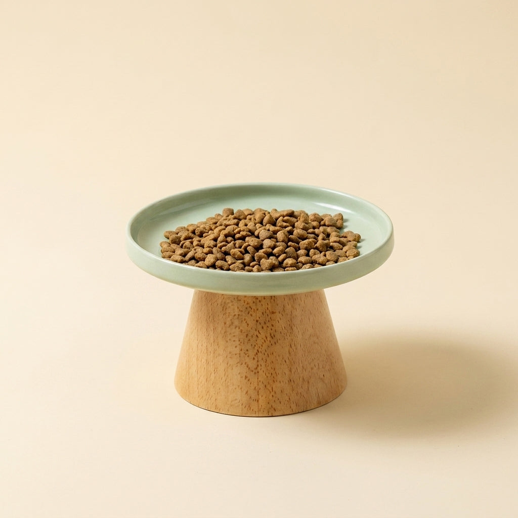 Raised ceramic cat plate in sage green on a solid wooden stand