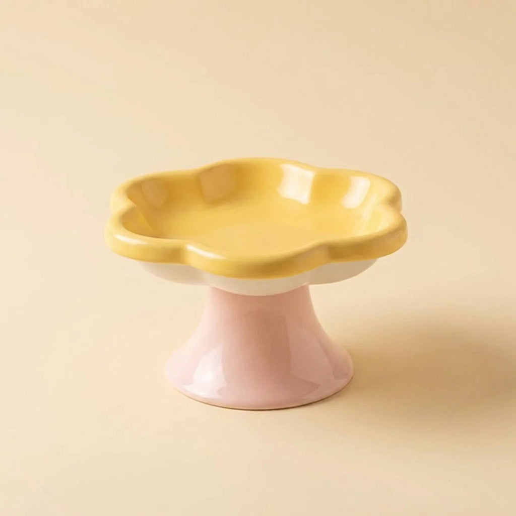 Scalloped pedestal cat bowl in mint green and pink two tone ceramic