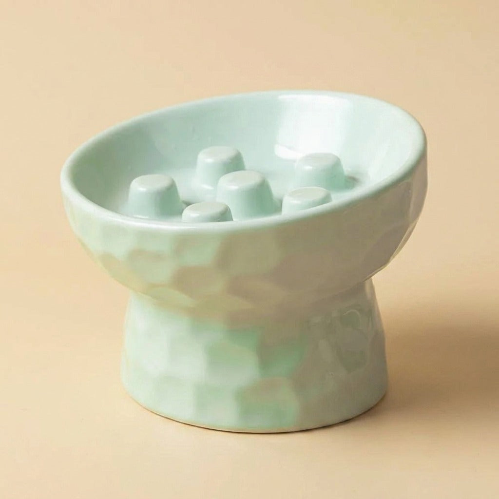 Slanted Ceramic Slow Feeder Pedestal Bowl in green, studio shot