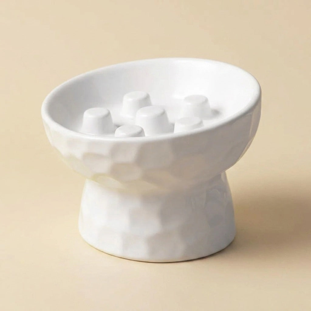 Slanted Ceramic Slow Feeder Pedestal Bowl in white, studio shot