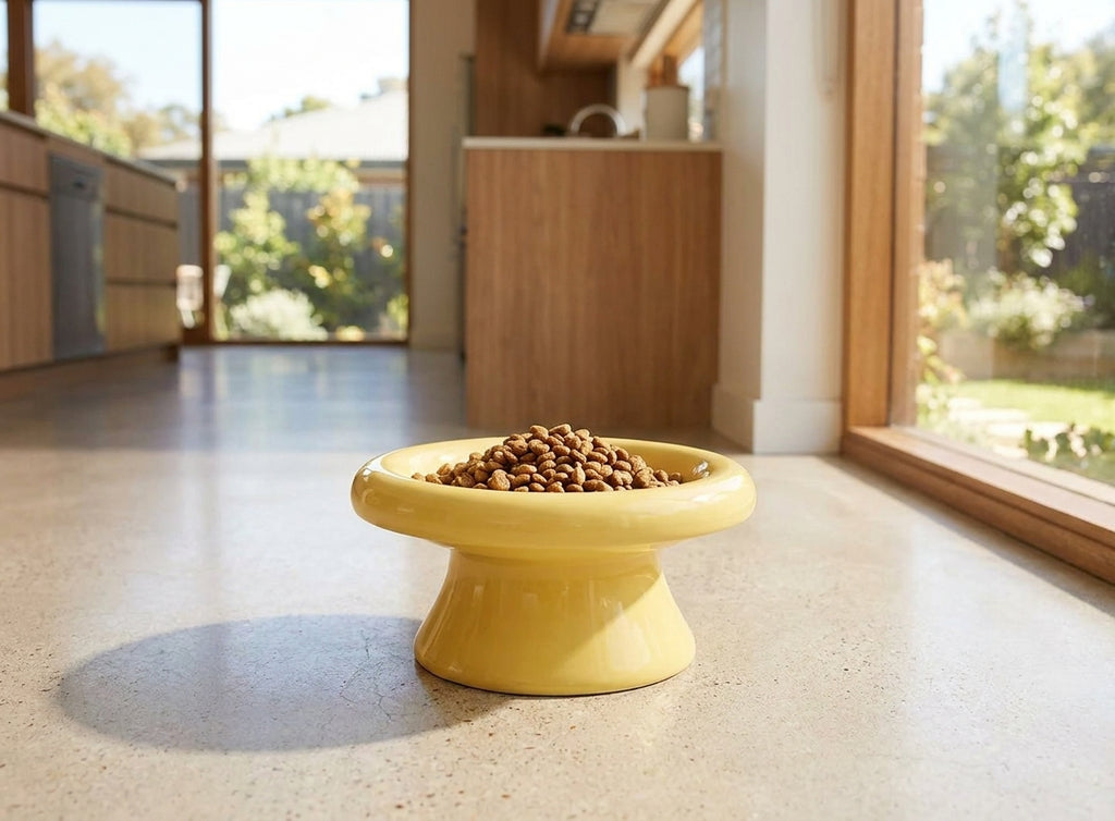 Yellow wide pedestal cat bowl on a kitchen floor in a bright modern home