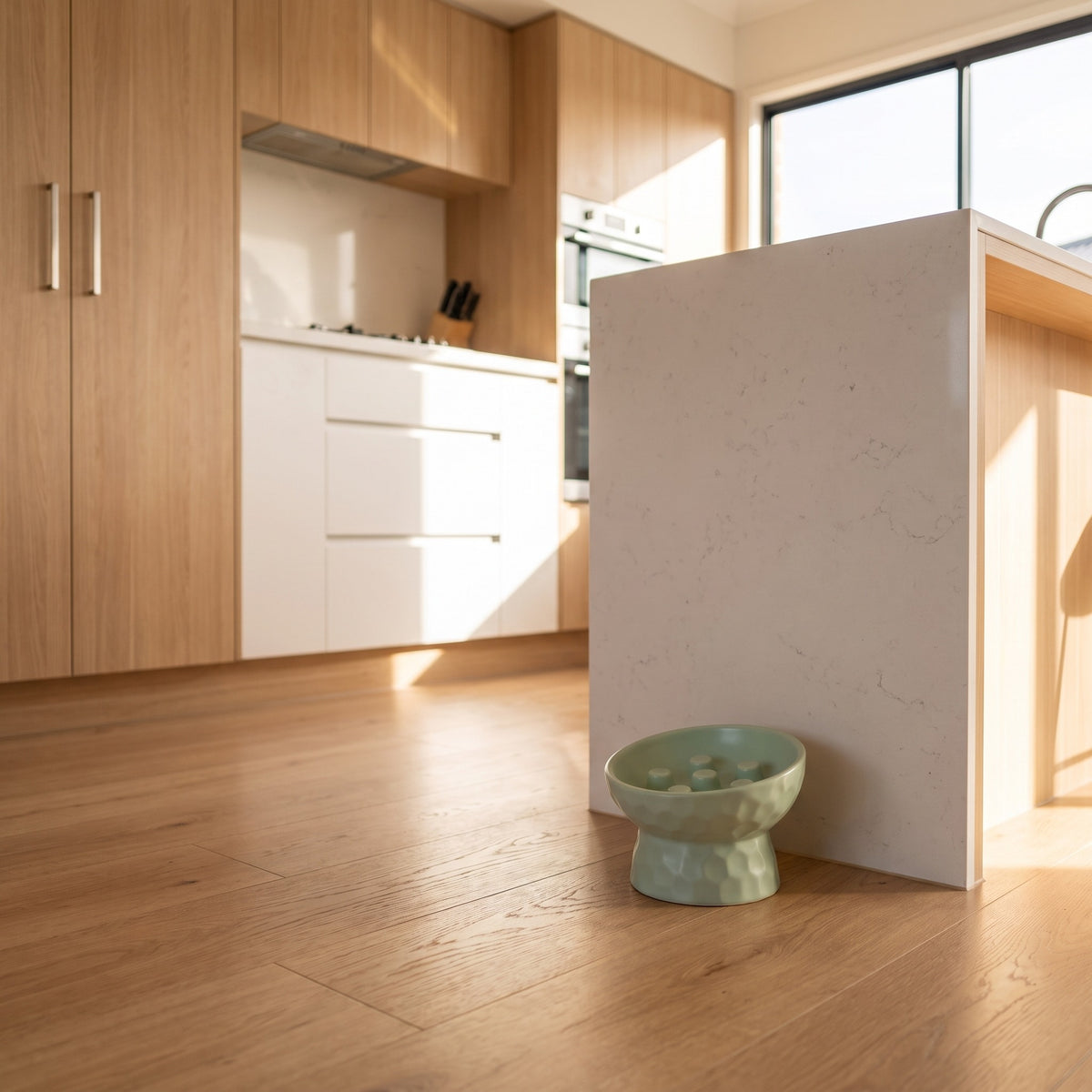 slanted ceramic slow feeder pedestal bowl, in a sunlit Australian home