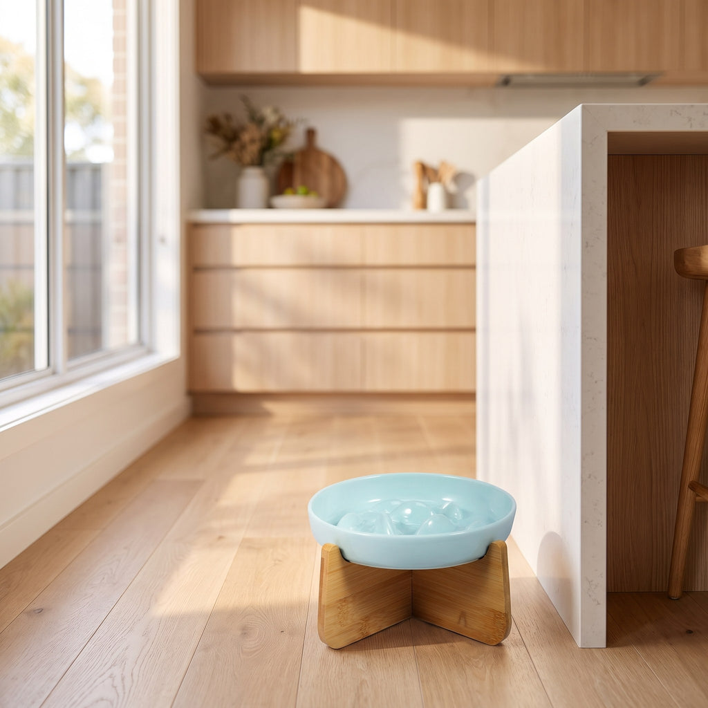 Ceramic Slow Feeder Cat Bowl on a bamboo stand on timber flooring in a bright kitchen