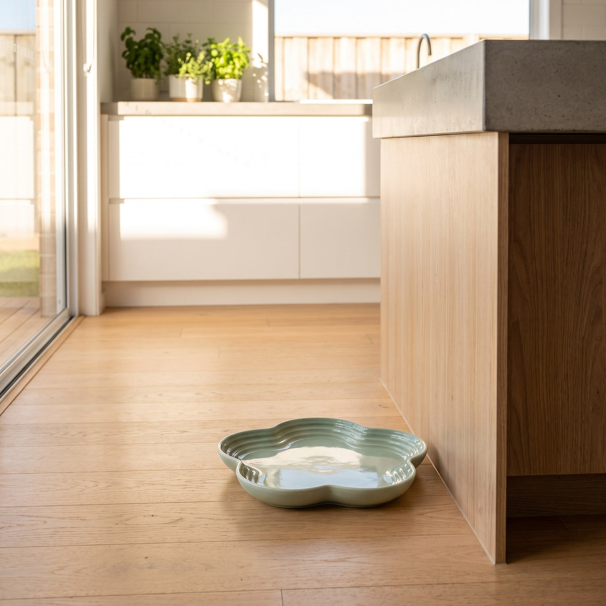 Sage green Extra Wide Whisker Relief Ceramic Cat Bowl with water on timber kitchen floor